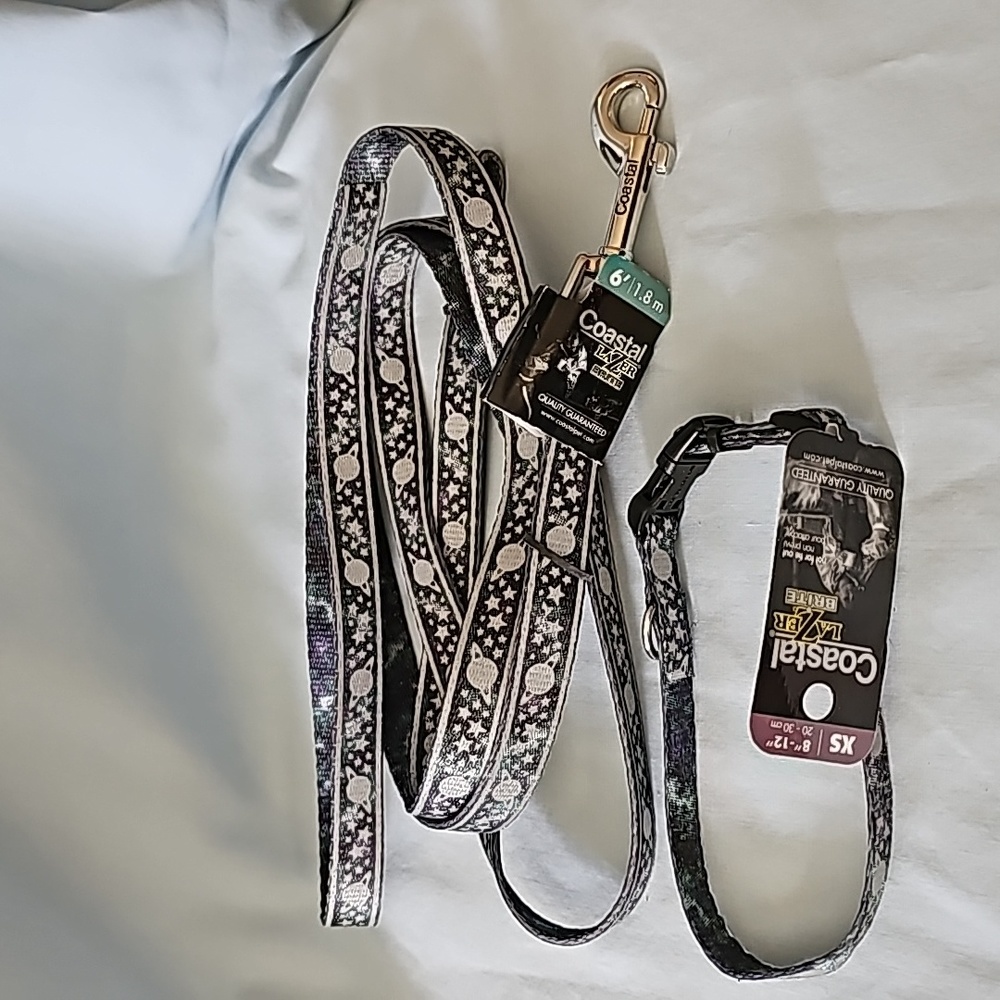Doggie Leash and collar.